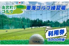 金武町でゴルフ　東海ゴルフ練習場 利用券