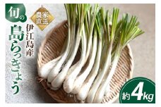 【期間限定発送】島らっきょう 約 4kg [畑シンカ 沖縄県 伊江村 ie47bde250001] 島ラッキョウ しまらっきょう 野菜 やさい 浅漬け 漬物 らっきょうみそ