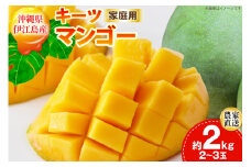 【期間限定発送】 家庭用 キーツ マンゴー 約 2kg (2〜3玉) [伊江村マンゴー部会 沖縄県 伊江村 ie47bde320000] キーツマンゴー 沖縄 フルーツ 果物 甘い 夏 濃厚 Mango 果物 果実 くだもの