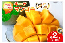 【期間限定発送】 キーツ マンゴー 秀品 約 2kg (2〜3玉) [伊江村マンゴー部会 沖縄県 伊江村 ie47bde320001] キーツマンゴー 沖縄 フルーツ 果物 甘い 夏 濃厚 Mango 果物 果実 くだもの