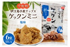 スナック 伊江島 小麦チップス ケックン ミニ 塩 6袋 セット [伊江島物産センター 沖縄県 伊江村 ie47bde210024] スナック菓子 お菓子 チップス おやつ おつまみ いえじま家族 ケックン ケックンチップス