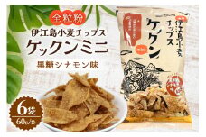 スナック 伊江島 小麦チップス ケックン ミニ 黒糖シナモン 6袋 セット [伊江島物産センター 沖縄県 伊江村 ie47bde210025] スナック菓子 お菓子 チップス おやつ おつまみ シナモン いえじま家族 ケックン ケックンチップス