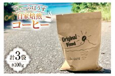 コーヒー 自家焙煎コーヒー 100g 3セット [てぃーらはうす 沖縄県 伊江村 ie47bde390000] コーヒー豆 珈琲 ブレンド 自家焙煎 苦味 香り