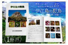 図鑑 伊江島の野鳥 1冊 [伊江村教育委員会 沖縄県 伊江村 ie47bde310000] 本 書籍 教育 野鳥図鑑 野鳥 鳥
