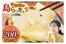 【期間限定発送】 島らっきょう 沖縄 甘酢漬け 100g 2個 セット [NOGU's  沖縄県 伊江村 ie47bde420011] らっきょう おつまみ 伊江島