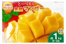 【期間限定発送】 完熟 マンゴー (アーウィン種) 約 1kg (2〜3玉) [伊江村マンゴー部会 沖縄県 伊江村 ie47bde320012] 沖縄 フルーツ 果物 甘い 夏 濃厚 Mango 果物 果実 くだもの