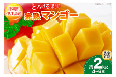 【期間限定発送】 完熟 マンゴー (アーウィン種) 約 2kg (4〜6玉) [伊江村マンゴー部会 沖縄県 伊江村 ie47bde320013] 沖縄 フルーツ 果物 甘い 夏 濃厚 Mango 果物 果実 くだもの