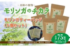 奇跡の植物＜モリンガ＞ティーバッグ（5個セット） ☆ お茶 沖縄 読谷村 ミラクルツリー ノンカフェイン 無農薬 無漂白 無香料 無着色