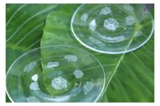 【琉球ガラス工房雫】水玉お皿（小・2枚セット）