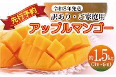 期間限定予約【訳あり・ご自宅用】アップルマンゴー（約1.5kg）【2026年発送】 〇 沖縄 旬のフルーツ 7月 スイーツ マンゴー 産地直送 お家使い うちなーすぐりむん 読谷村 お試し 夏 人気 甘い 家庭用