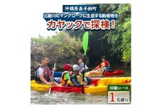 ＜1名様体験コース＞比謝川のマングローブに生息する動植物をカヤックで探検!【1399160】