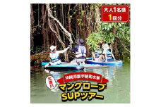 ＜大人用＞マングローブSUPツアー【1123653】