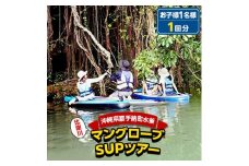 ＜お子様用＞マングローブSUPツアー【1123655】
