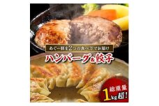 総重量1kg超!あぐー豚を2つの食べ方でお届けします(ハンバーグ&餃子)【1139598】