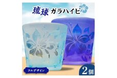 琉球ガラハイビフルデザイン2P【1338332】