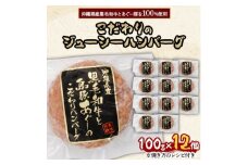 沖縄県産黒毛和牛とあぐー豚を100%使用したこだわりのジューシーハンバーグ100g×12個【1340916】