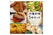 沖縄料理5種セット(ゴーヤーチャンプルー、すーちかー、てびち、あぐーハンバーグ、スペアリブ)【1455026】