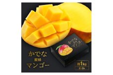 2025年発送＜かでな蜜蜂マンゴー＞約1kg(2～3玉)【1226421】