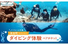【ふるさと納税】ライセンス不要のダイビング体験ペアチケット@北谷町