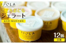 沖縄　こころおどる　ジェラート12個セット