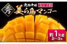 【2025年夏季出荷】 完熟中城美ら島マンゴー（秀品） 約1kg　沖縄特産品マンゴー 人気マンゴー 絶品マンゴー 完熟マンゴー アップルマンゴー 贈答 贈り物 ギフト 季節限定 中城村特産品 トロピカル mango MANGO     