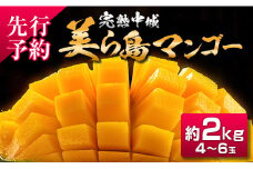 【2025年夏季出荷】 完熟中城美ら島マンゴー（優品） 約2kg　沖縄 特産品 完熟マンゴー フルーツ 果物 デザート スイーツ ジュース スムージー アイス シャーベット ソルベ 贈答 贈り物 プレゼント お土産 お見舞い お中元 ギフト 数量限定