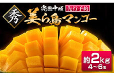【2025年夏季出荷】 完熟中城美ら島マンゴー（秀品） 約2kg　沖縄 特産品 完熟マンゴー フルーツ 果物 デザート スイーツ ジュース スムージー アイス シャーベット ソルベ 贈答 贈り物 プレゼント お土産 お見舞い お中元 ギフト 数量限定