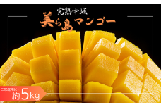 【2025年夏季出荷】 完熟中城美ら島マンゴー（優品） 約5kg　沖縄県産 特産品マンゴー アップルマンゴー 家庭用 大容量 季節限定 果物 フルーツ スイーツ マンゴージュース マンゴーソルベ