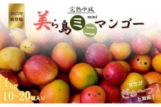 完熟沖縄ミニマンゴーご家庭用約1ｋｇ（10～20個入）2025年発送　沖縄 特産品 フルーツ 果物 デザート スイーツ おすすめ オススメ 贈り物 プレゼント お土産 お見舞い 期間限定 数量限定 希少 レア