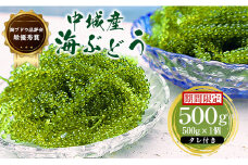 【2025年4月中旬以降発送予定】海ぶどう（500g×1個セット）タレ付き　中城村産海ぶどう グリーンキャビア 贅沢 期間限定 季節限定 人気