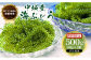 【沖縄大人気商品】海ぶどう（500g×1個セット）タレ付き