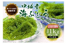 【2025年4月中旬以降発送予定】海ぶどう（500g×2個セット）タレ付き 期間限定 新鮮 厳選 贈答品 朝採れ 直送 ご当地グルメ 沖縄県産 中城村産 特産品 海の幸 ヘルシー 低カロリー 美容 人気 海鮮丼 サラダ ミネラル 鉄分 季節限定 贅沢