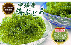 【2025年4月中旬以降発送予定】海ぶどう（500g×4個セット）タレ付き 期間限定 新鮮 厳選 贈答品 朝採れ 直送 ご当地グルメ 沖縄県産 中城村産 特産品 海の幸 ヘルシー 低カロリー 美容 人気 海鮮丼 サラダ ミネラル 鉄分 季節限定 贅沢