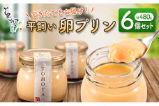 注文後に手作りで作る「ともやの平飼い卵プリン」6個セット(計480g)
