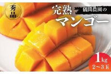 ≪2025年発送≫逸品！儀間農園の完熟マンゴー　秀品1kg　アップルマンゴー アーウィン種 デザート スイーツ 果物 フルーツ 期間限定 贈答 贈り物 ギフト プレゼント 夏 沖縄県産 完熟 高級 贅沢