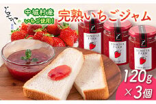 中城村産いちご使用！「ともや農場の完熟いちごジャム」