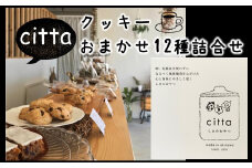 cittaしまのおやつ　おまかせ12種類セット