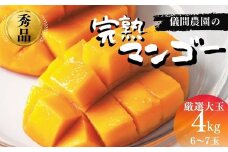 ≪2025年発送≫厳選大玉！儀間農園の完熟マンゴー　秀品4kg　アップルマンゴー アーウィン種 デザート スイーツ 果物 フルーツ 期間限定 贈答 贈り物 ギフト プレゼント 夏 沖縄県産 完熟 高級 贅沢