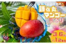 ≪2025年発送≫ 護佐丸マンゴー【訳あり】3～6個入り（約1.2kg）　完熟マンゴー 沖縄県産マンゴー 国産 デザート スイーツ フルーツ フレッシュ 果物 濃厚 芳醇 贅沢  贈答 贈り物 ギフト お中元 御歳暮 御祝い マンゴージュース マンゴーソルベ スムージー
