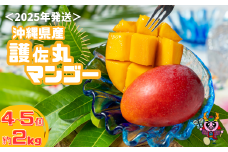 ≪2025年発送≫ 護佐丸マンゴー　4～5個入り（約2kg）　完熟マンゴー 沖縄県産マンゴー 国産 デザート スイーツ フルーツ フレッシュ 果物 濃厚 芳醇 贅沢  贈答 贈り物 ギフト お中元 御歳暮 御祝い マンゴージュース マンゴーソルベ スムージー