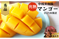 【2025年発送 先行受付】中城果樹園の完熟マンゴー≪秀品≫ 1㎏以上　アーウィン種 沖縄 特産品 完熟マンゴー フルーツ 果物 デザート スイーツ ジュース スムージー アイス シャーベット ソルベ 贈答 贈り物 プレゼント お土産 お見舞い お中元 ギフト 数量限定