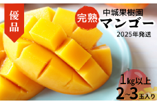 【2025年発送 先行受付】中城果樹園の完熟マンゴー≪優品≫ 1㎏以上　アーウィン種 沖縄 特産品 完熟マンゴー フルーツ 果物 デザート スイーツ ジュース スムージー アイス シャーベット ソルベ 贈答 贈り物 プレゼント お土産 お見舞い お中元 ギフト 数量限定
