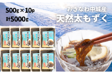 【2025年5月以降発送開始】中城村産「天然」太もずく（500ｇ×10パック）もずく酢 三杯酢 酢の物 海藻 てんぷら かき揚げ サラダ 低カロリー ミネラル ビタミン フコイダン 水溶性食物繊維 小鉢 副菜 沖縄県産