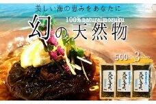 天然もずく 塩蔵（500g×3P）沖縄県中城村産 漁師手摘み もずく酢 三杯酢 酢の物 海藻 海藻サラダ 天ぷらフコイダン 栄養 美容 低カロリー