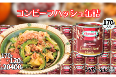 沖縄ホーメル コンビーフハッシュ 170g　120缶　　牛肉 じゃがいも カレー チャンプルー 惣菜 缶詰 おかず 弁当 沖縄料理 長期保存 非常食 常備食 沖縄ホーメル
