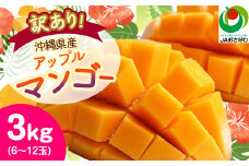 ＜2026年6月から順次発送・訳あり＞アップルマンゴー3.0kg(6～12玉)_ マンゴー フルーツ 果物 くだもの アップルマンゴー 人気 おすすめ 送料無料 訳あり 数量限定 期間限定 傷 規格外 完熟 沖縄県 冷蔵 【1494041】