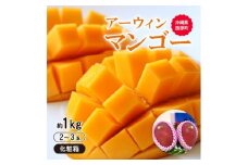 ＜2026年6月から順次発送・化粧箱＞JA厳選のアップルマンゴー1kg(2～3玉)【1494042】