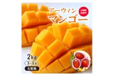 ＜2026年6月から順次発送・化粧箱＞JA厳選のアップルマンゴー2kg(3～6玉)【1494044】