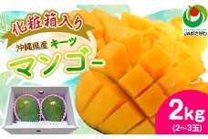 ＜2025年発送・化粧箱＞キーツマンゴー2.0kg(2～3玉)_ マンゴー フルーツ 果物 くだもの キーツマンゴー 人気 おすすめ 送料無料 贈答 ギフト プレゼント 化粧箱 完熟 沖縄県 常温 【1494471】