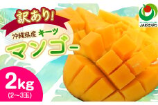 ＜2026年8月から順次発送・訳あり＞JAおきなわ厳選!沖縄県産キーツマンゴー2kg(2～3玉)_ マンゴー フルーツ 果物 くだもの キーツマンゴー 人気 おすすめ 送料無料 訳あり 傷 規格外 完熟 沖縄県 常温 【1494452】